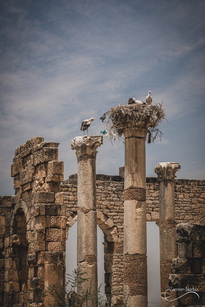 Maroc — photographie de Samten Norbù