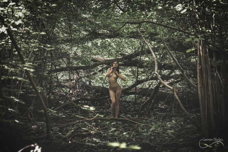 Natural Nudes (NSFW) — photographie de Samten Norbù