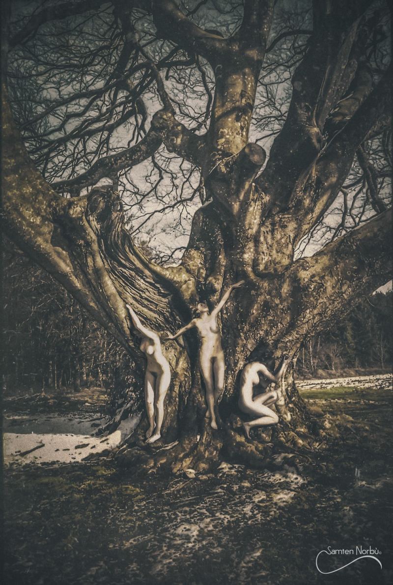 Natural Nudes (NSFW) — photographie de Samten Norbù