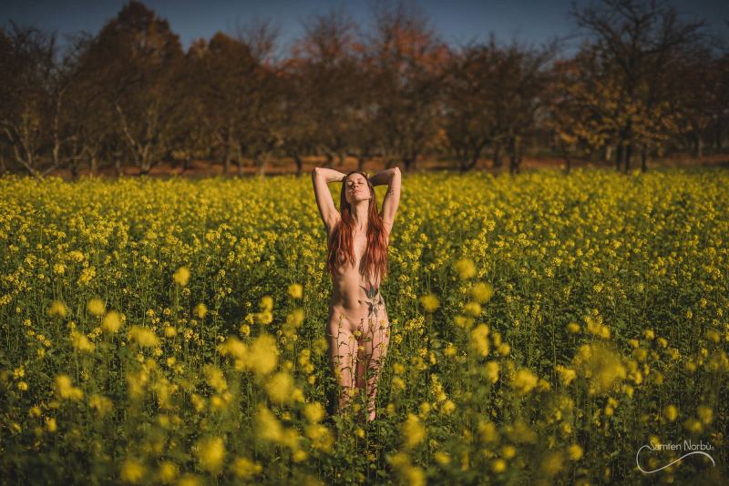 Natural Nudes (NSFW) — photographie de Samten Norbù