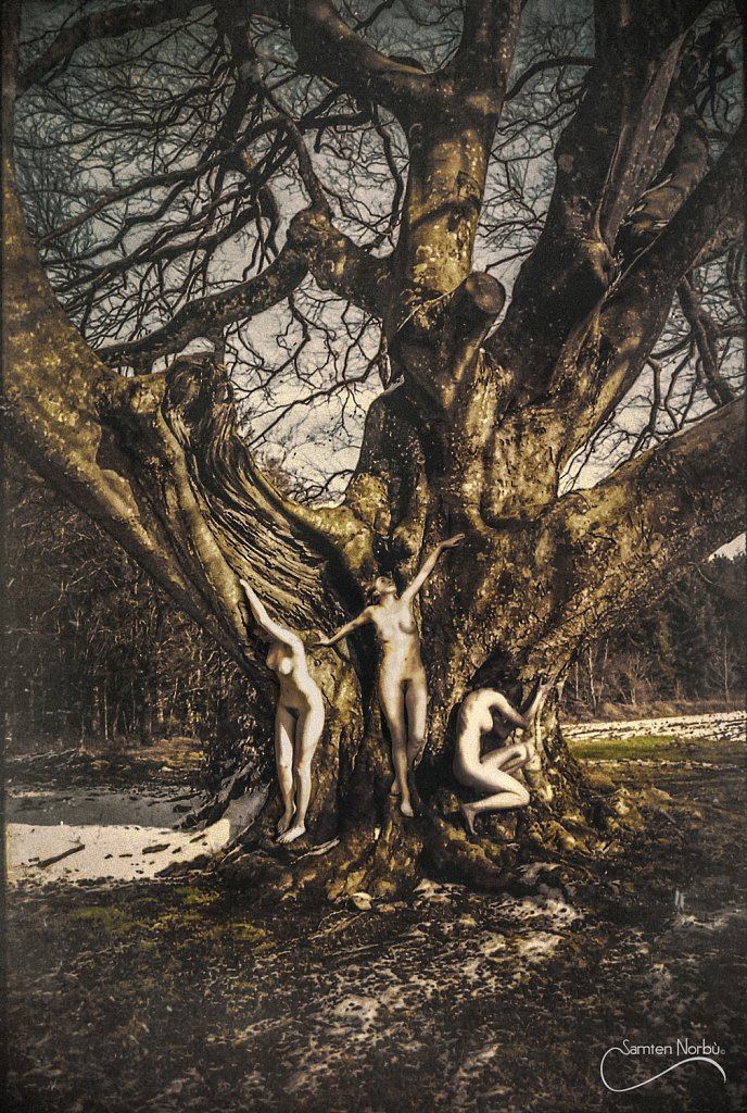 Natural Nudes (NSFW) — photographie de Samten Norbù