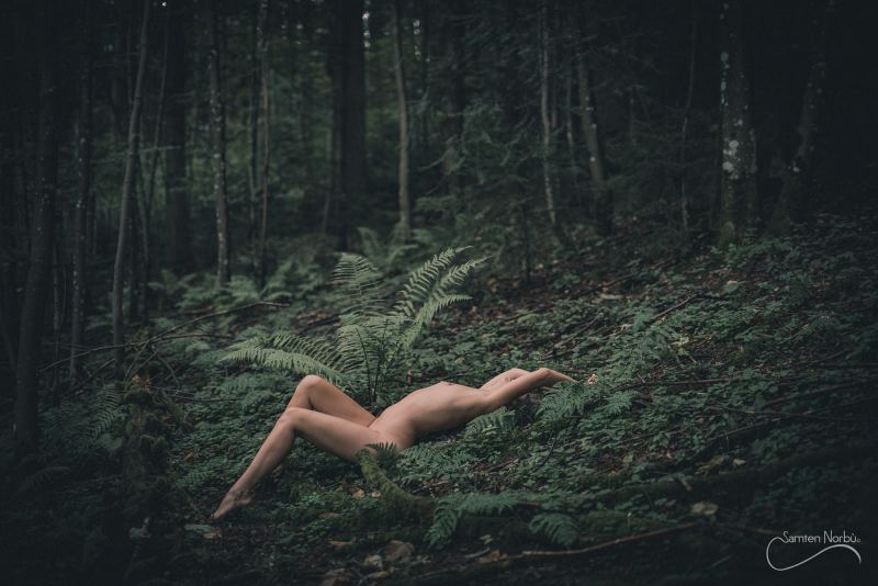 Natural Nudes (NSFW) — photographie de Samten Norbù
