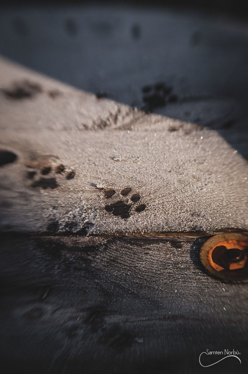 Nature — photographie de Samten Norbù