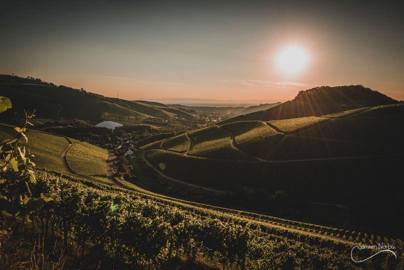 Nature — photographie de Samten Norbù