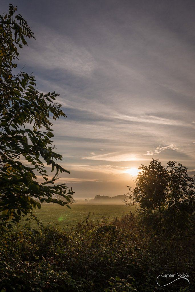 Nature — photographie de Samten Norbù