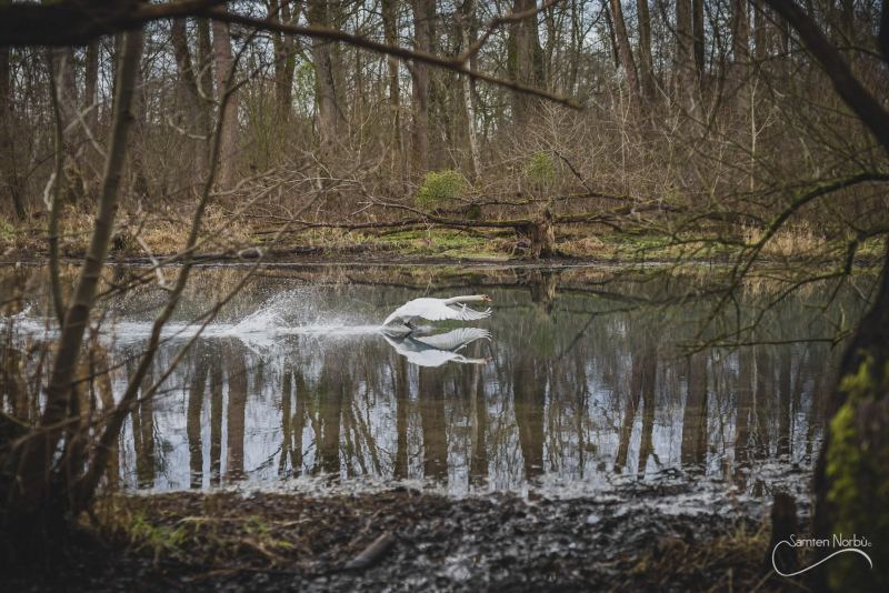 Nature — photographie de Samten Norbù