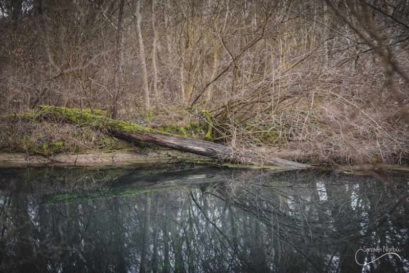 Nature — photographie de Samten Norbù