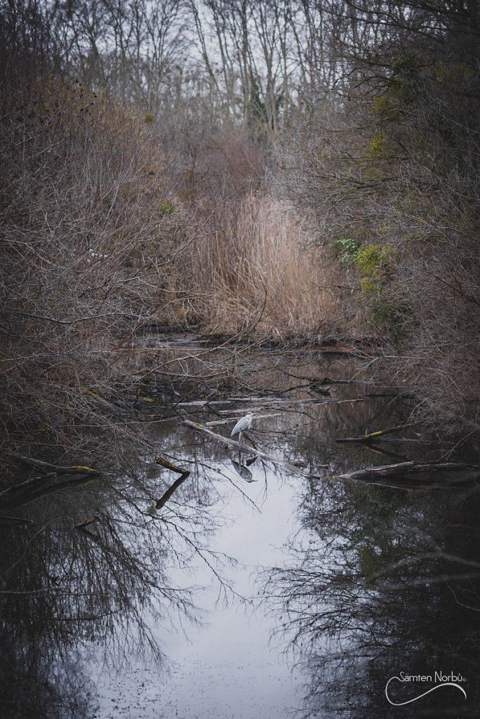 Nature — photographie de Samten Norbù