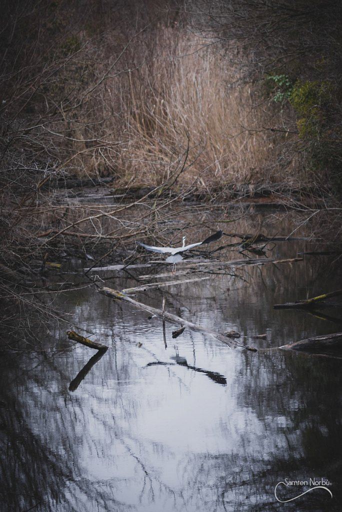 Nature — photographie de Samten Norbù