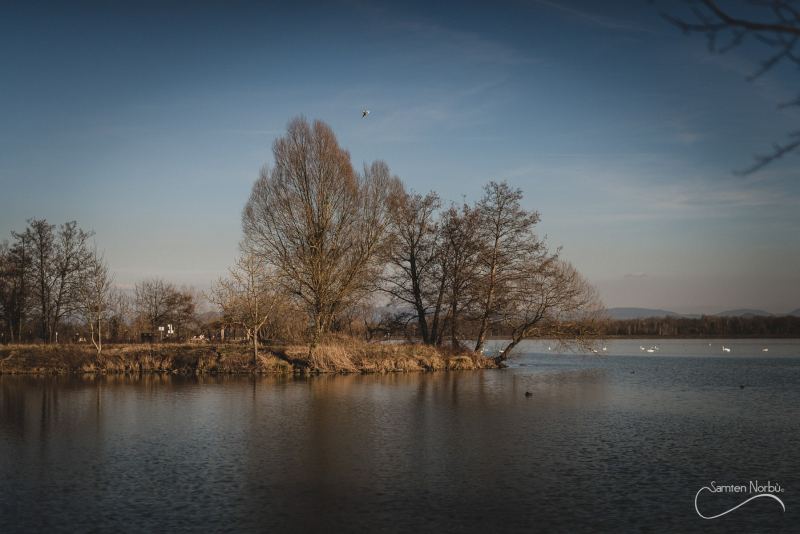 Nature — photographie de Samten Norbù