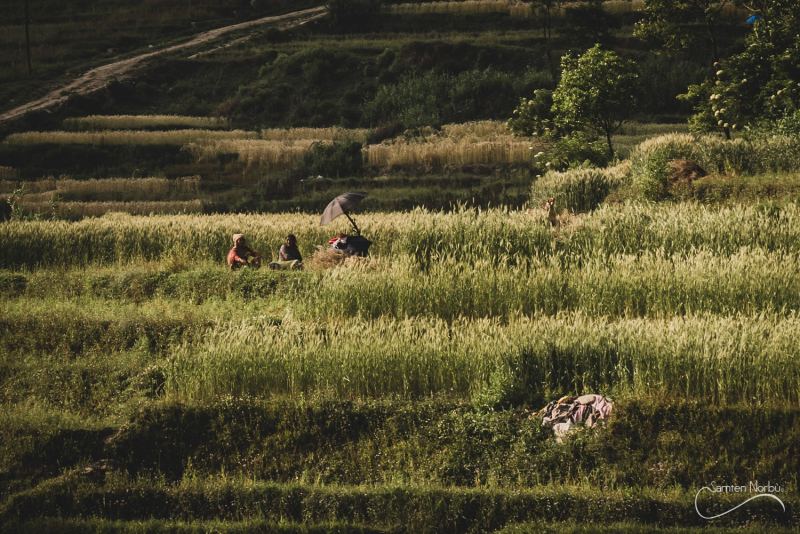 Nepal - Bungamati — photographie de Samten Norbù