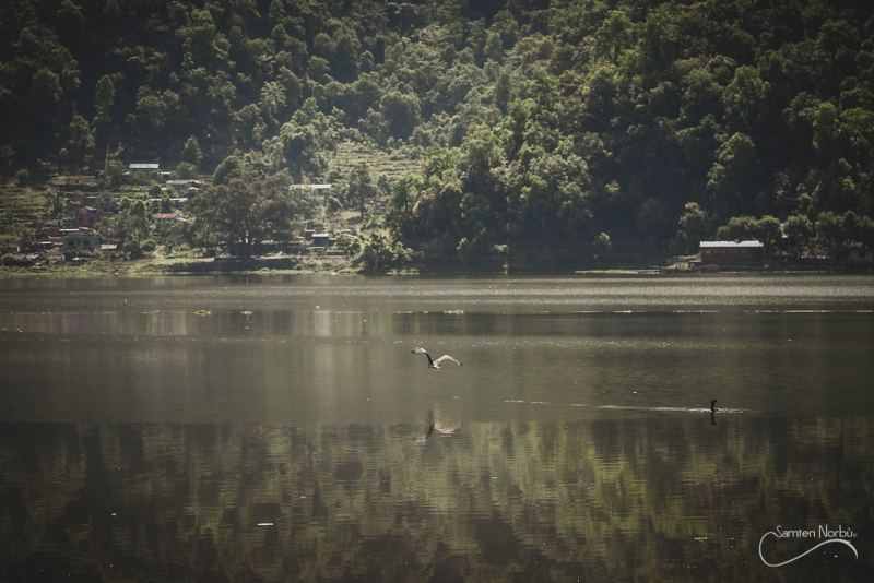 Nepal - Rupa Lake — photographie de Samten Norbù