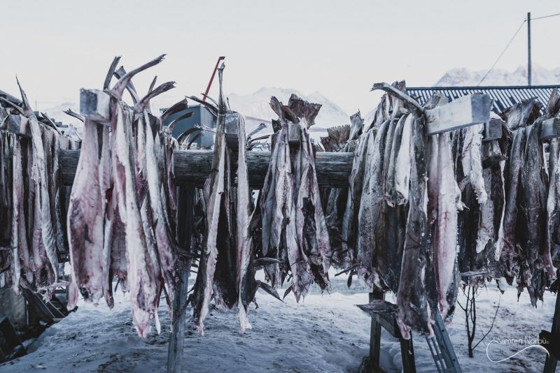 Norvège — photographie de Samten Norbù