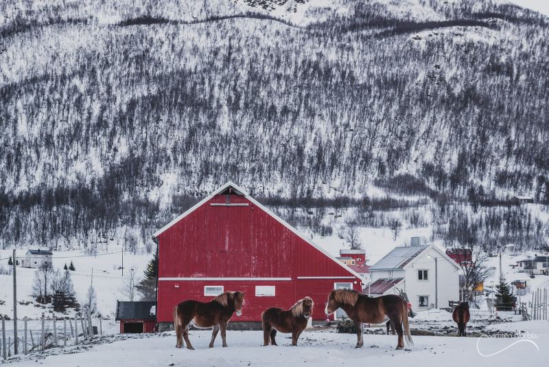 Norvège — photographie de Samten Norbù