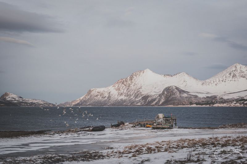 Norvège — photographie de Samten Norbù