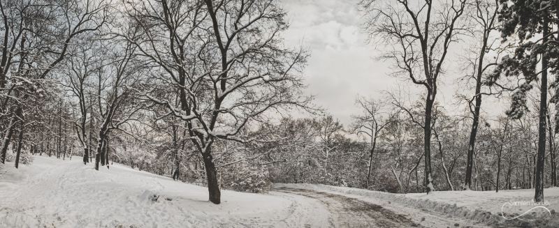 Prague — photographie de Samten Norbù