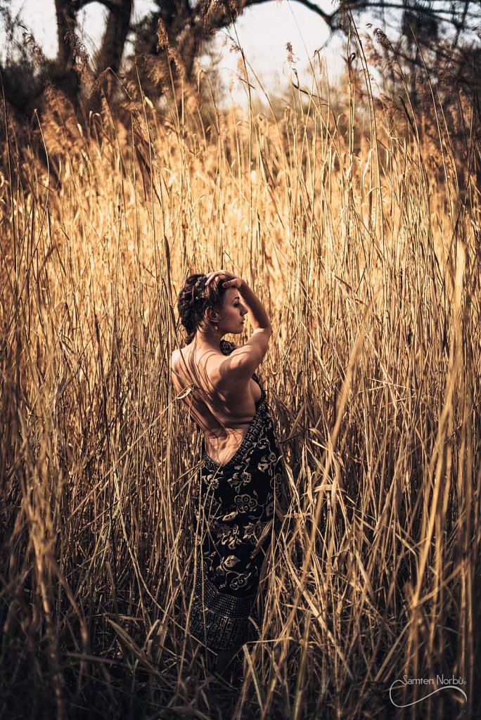 Art & Scénographies — photographie de Samten Norbù