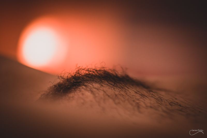 Soft Nudes — photographie de Samten Norbù