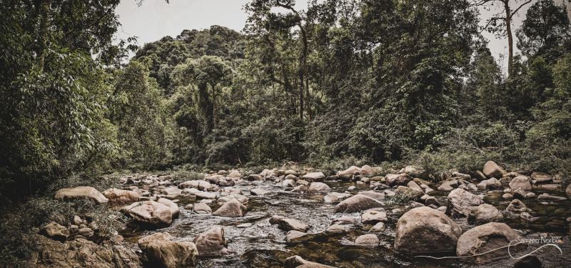 Thailande — photographie de Samten Norbù