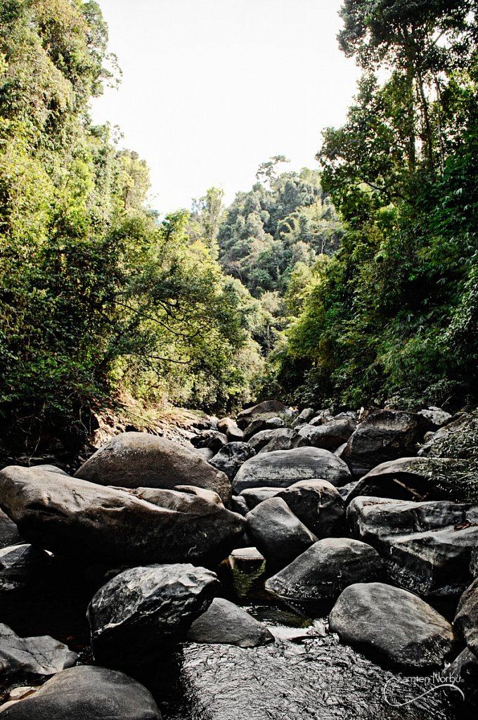 Thailande — photographie de Samten Norbù