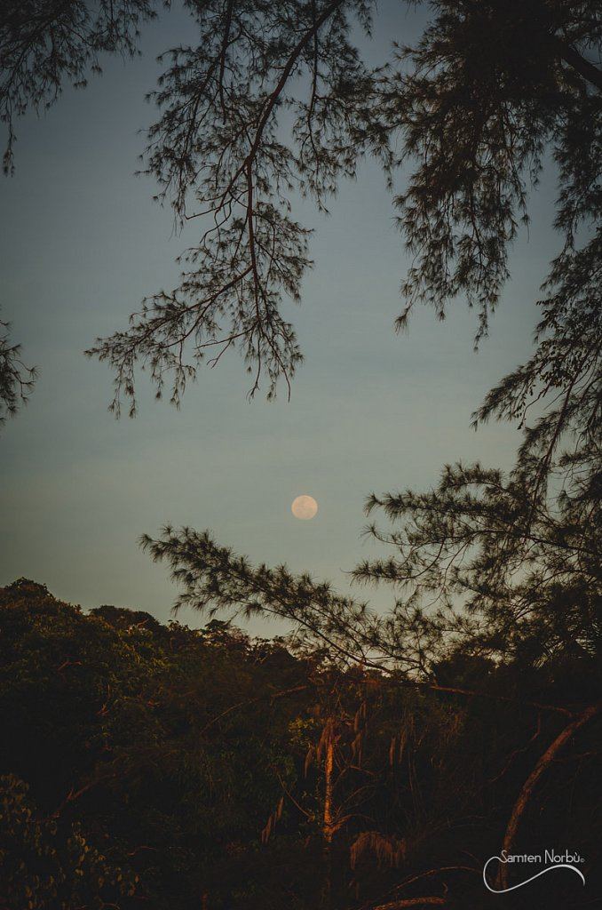 Thailande — photographie de Samten Norbù