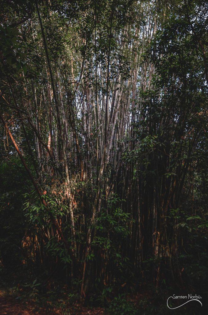 Thailande — photographie de Samten Norbù