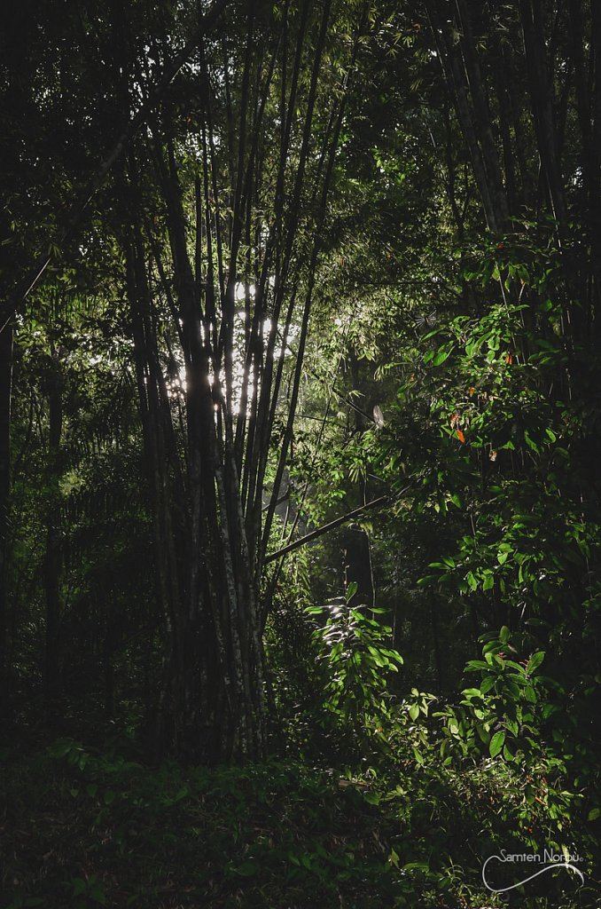 Thailande — photographie de Samten Norbù