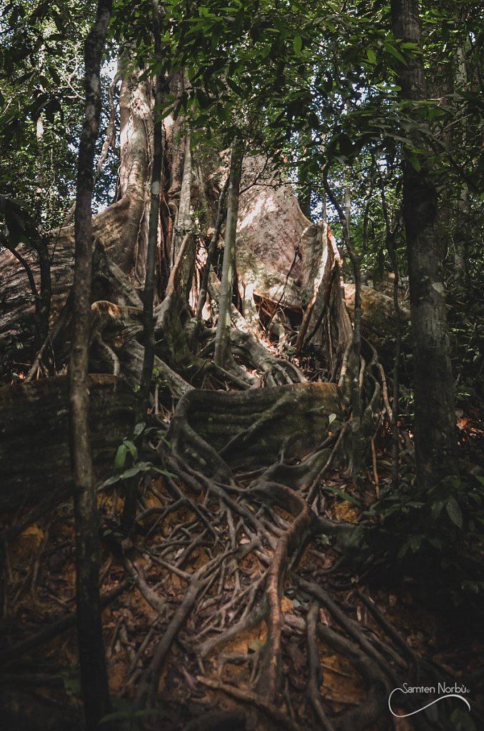 Thailande — photographie de Samten Norbù