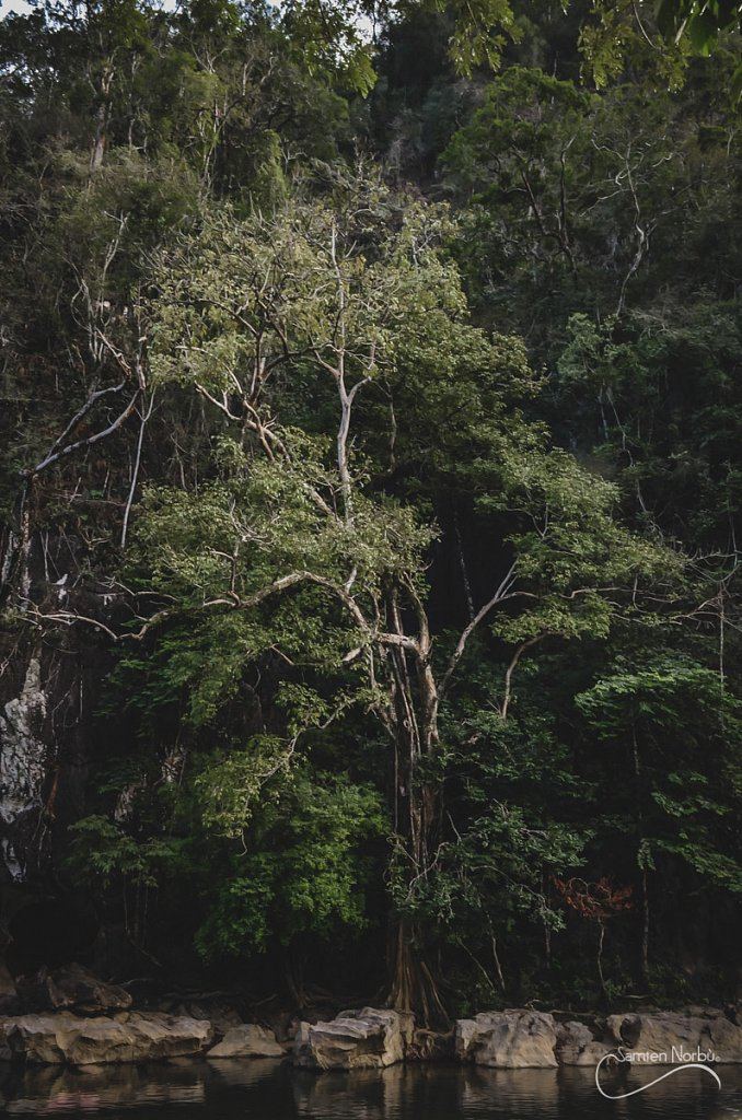 Thailande — photographie de Samten Norbù