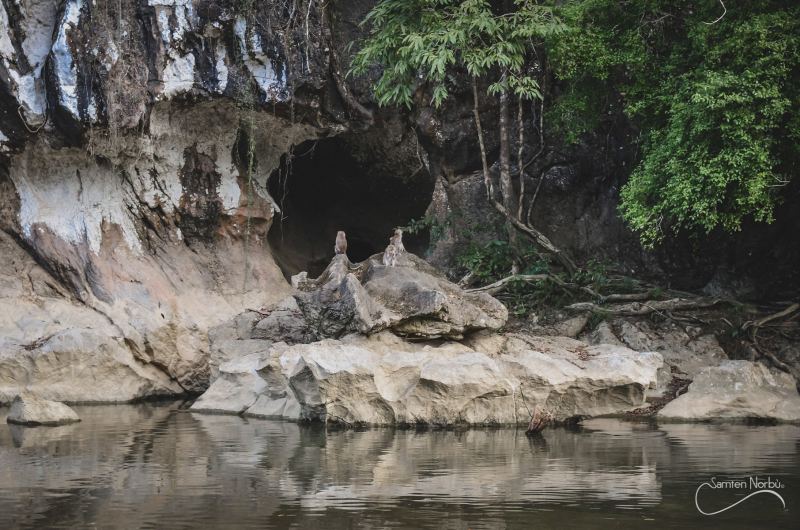 Thailande — photographie de Samten Norbù
