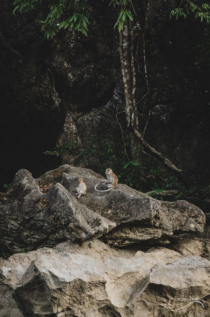 Thailande — photographie de Samten Norbù