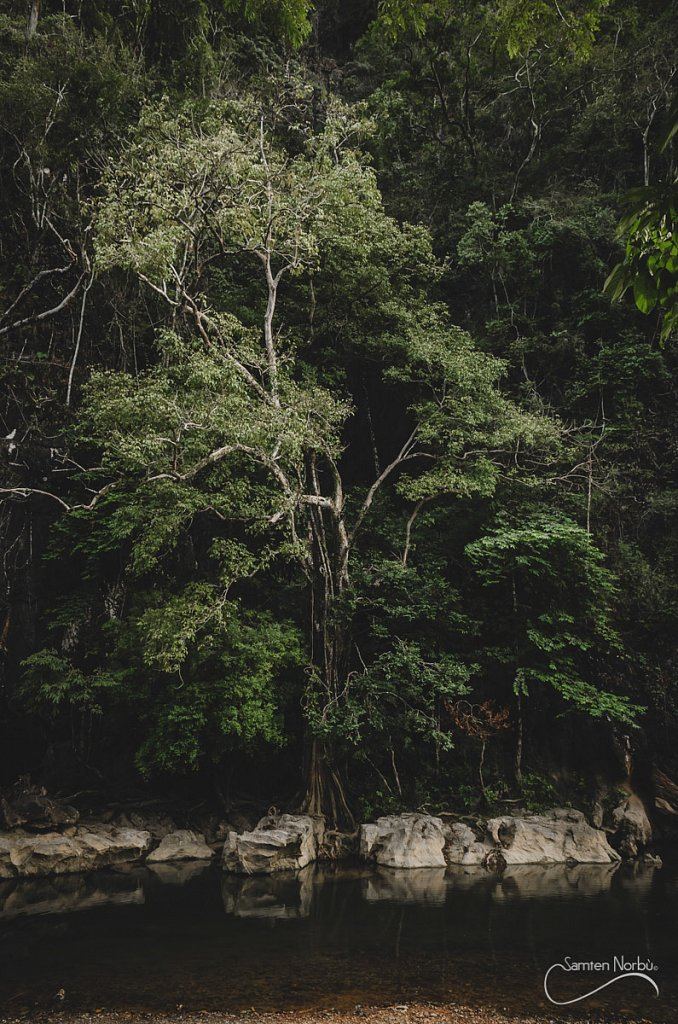 Thailande — photographie de Samten Norbù