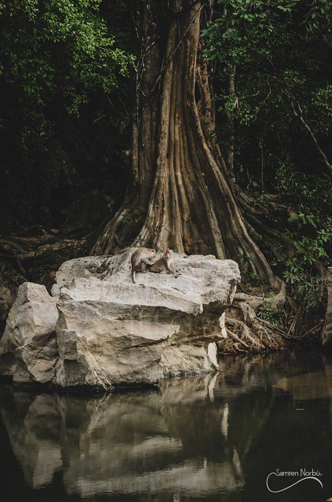 Thailande — photographie de Samten Norbù