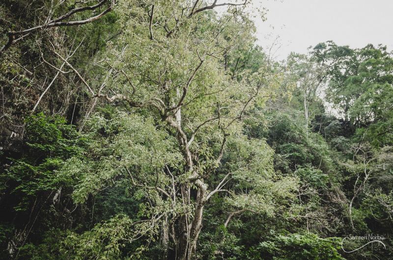 Thailande — photographie de Samten Norbù