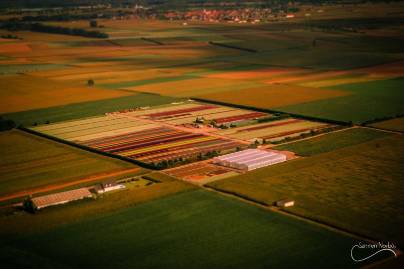 Toy World — photographie de Samten Norbù