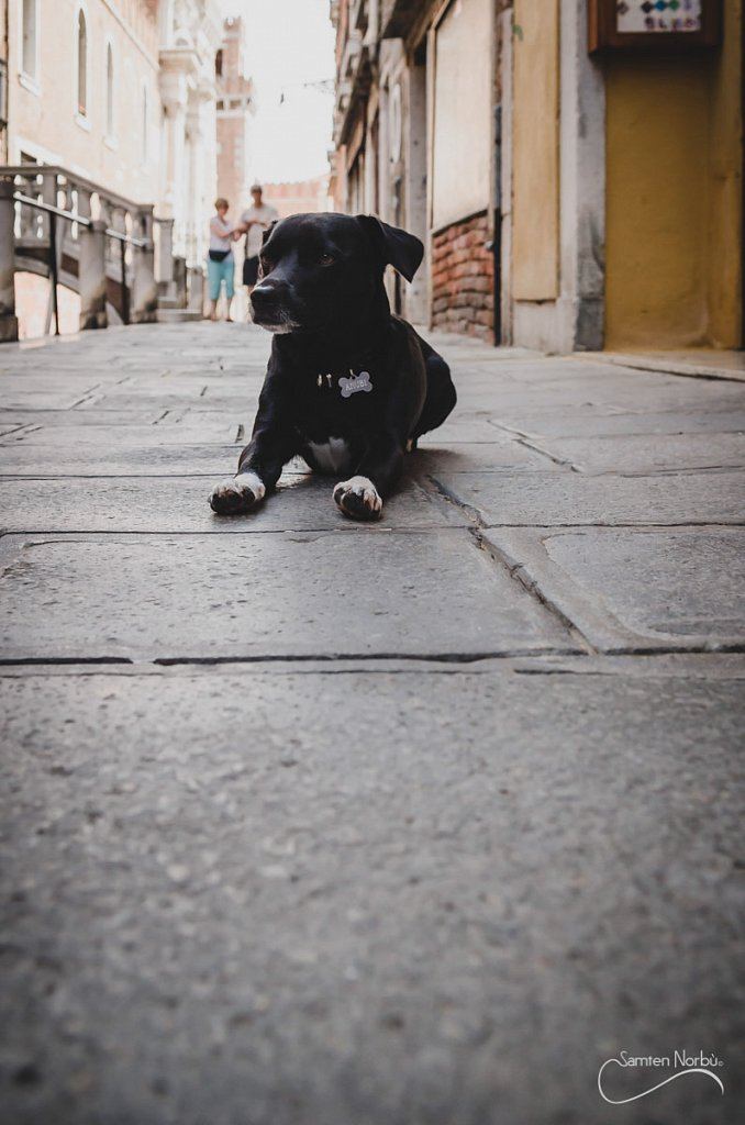 Venise — photographie de Samten Norbù