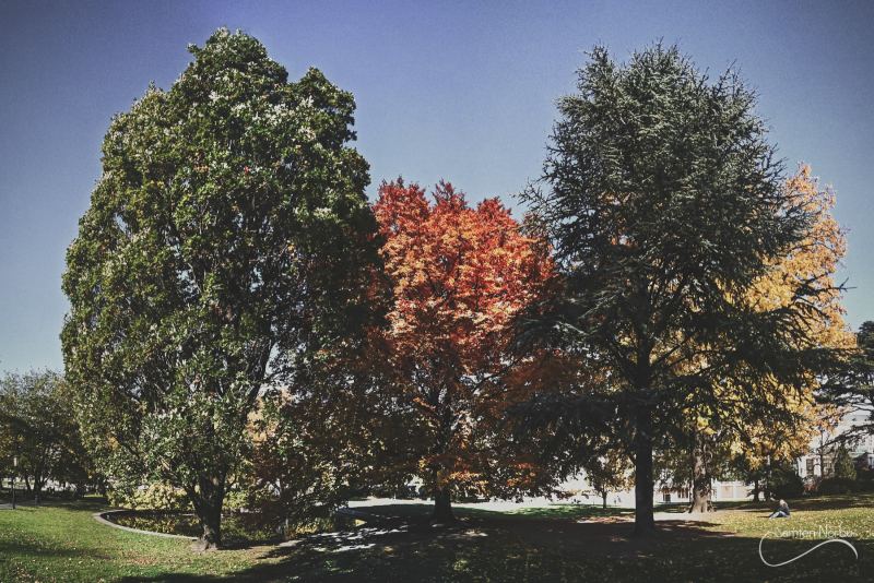 Vienne — photographie de Samten Norbù