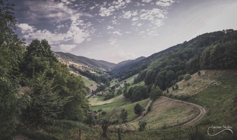 Vosges — photographie de Samten Norbù