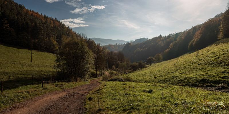 Vosges — photographie de Samten Norbù