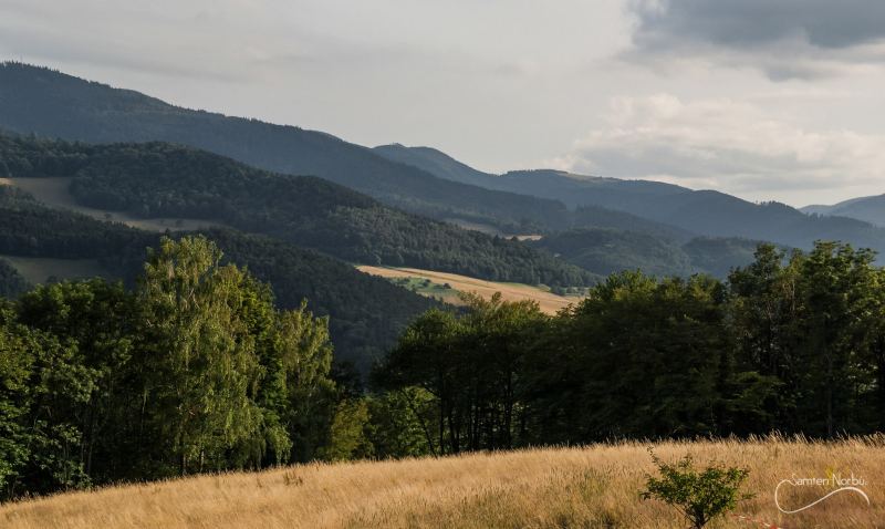Vosges — photographie de Samten Norbù