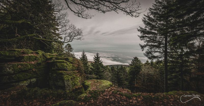 Vosges — photographie de Samten Norbù