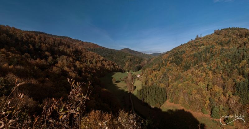Vosges — photographie de Samten Norbù