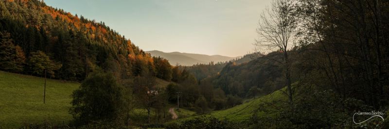 Vosges — photographie de Samten Norbù
