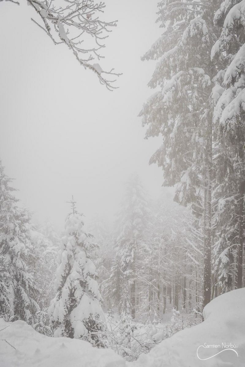 Vosges — photographie de Samten Norbù