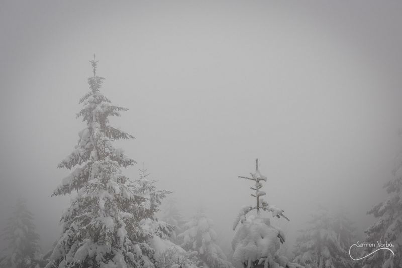Vosges — photographie de Samten Norbù
