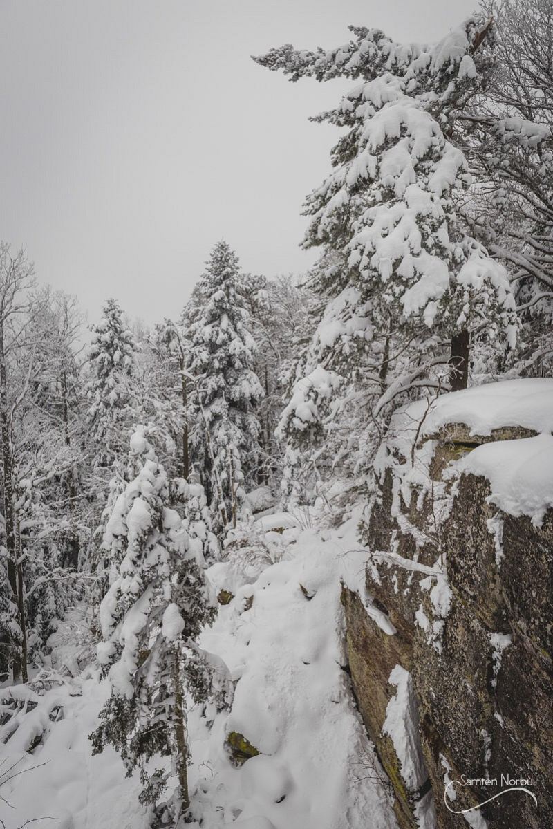 Vosges — photographie de Samten Norbù