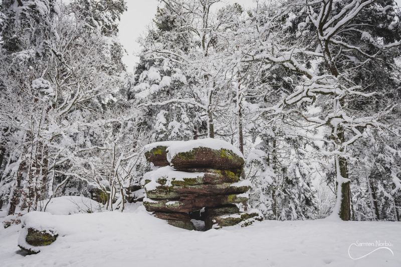 Vosges — photographie de Samten Norbù