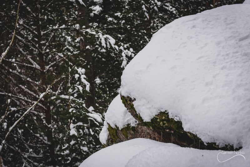 Vosges — photographie de Samten Norbù