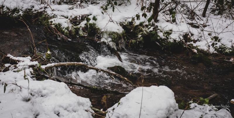 Vosges — photographie de Samten Norbù