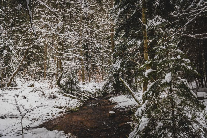 Vosges — photographie de Samten Norbù